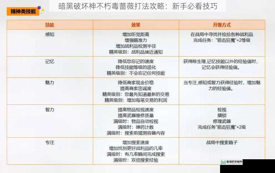 技能搭配与升级