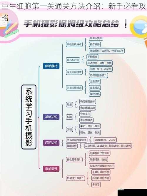 掌握基本操作