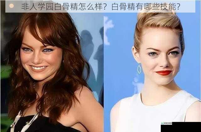 外观与形象