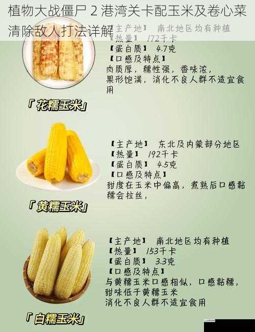 玉米的作用与搭配
