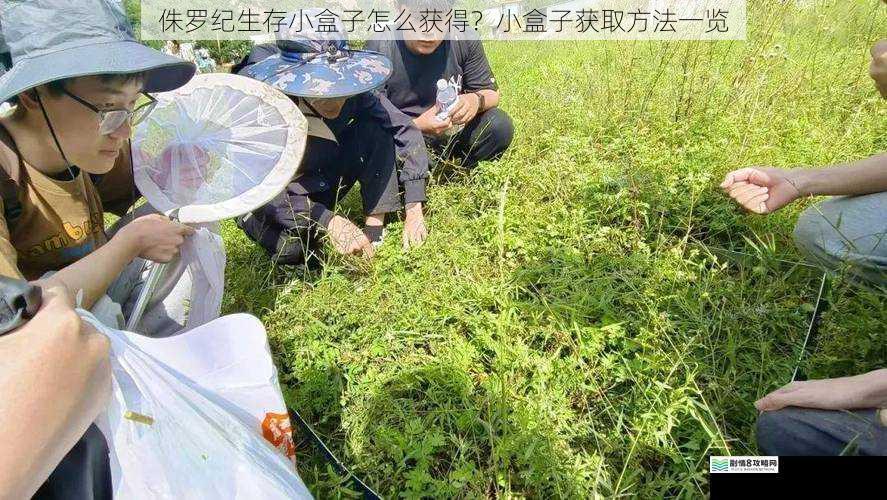 野外探索