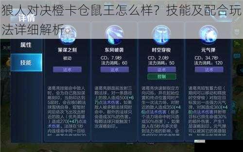 技能解析