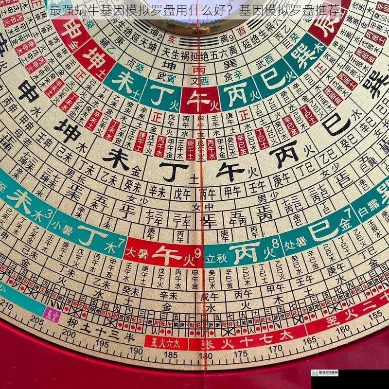 基因模拟罗盘的基本原理