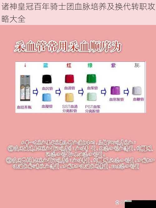 血脉传承与基础培养