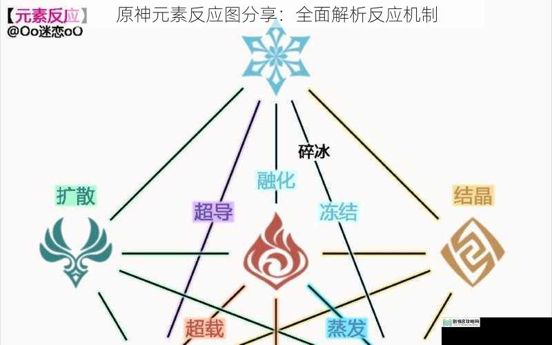 元素属性与反应类型