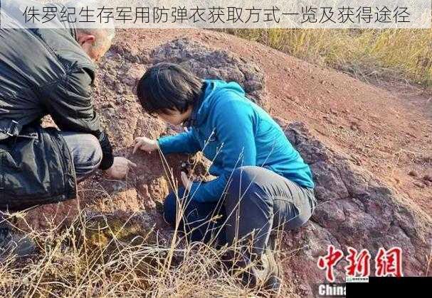 野外探索与搜寻