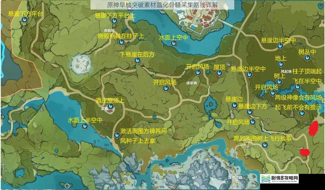 蒙德地区采集路线