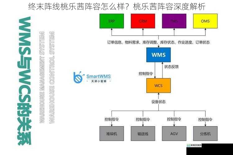 角色搭配与协同效果