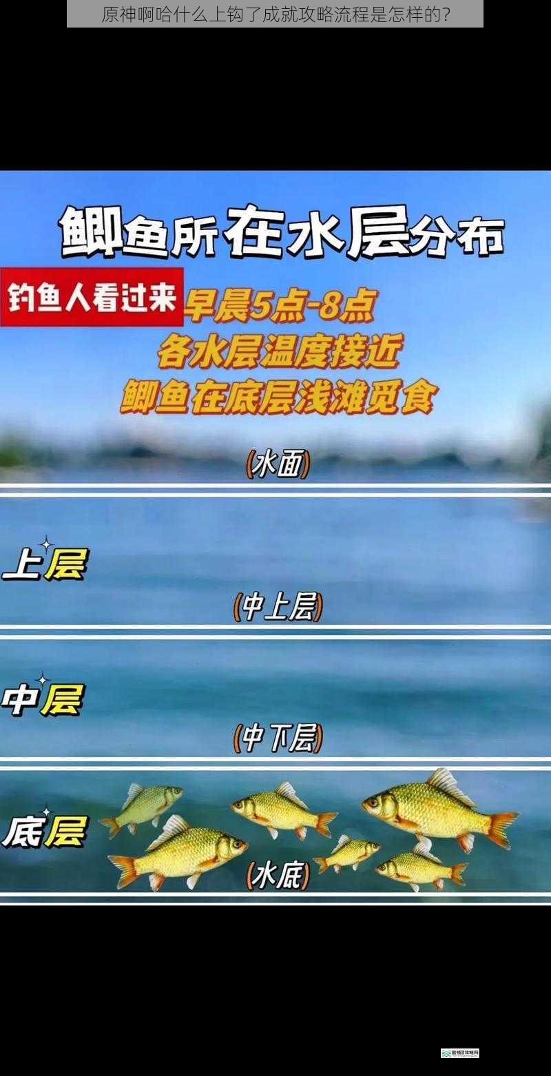 钓鱼地点选择