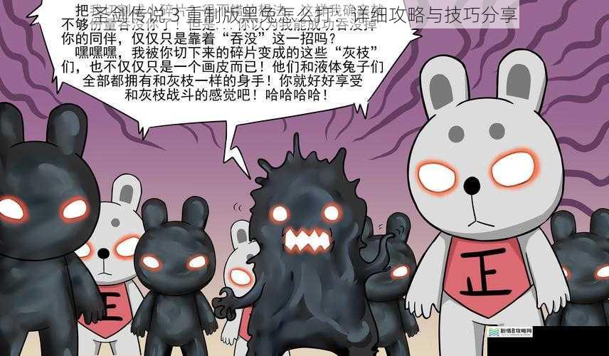 了解黑兔的攻击模式