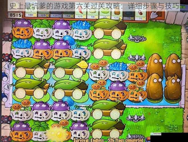 观察关卡布局
