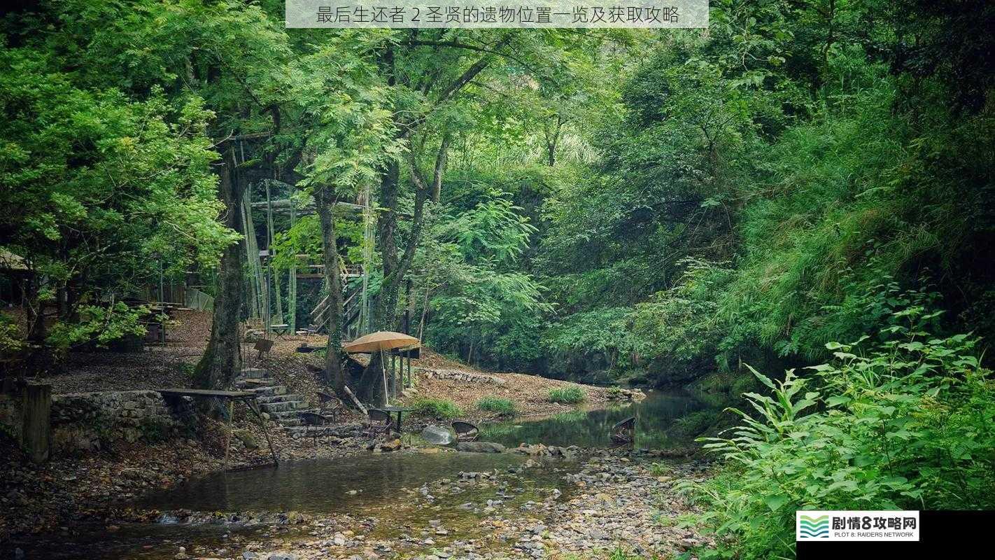 森林深处的宝藏