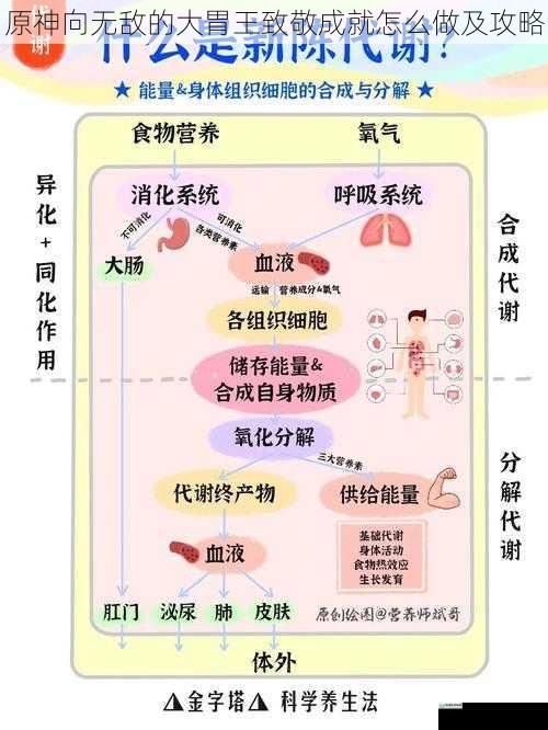 了解食物属性与获取途径