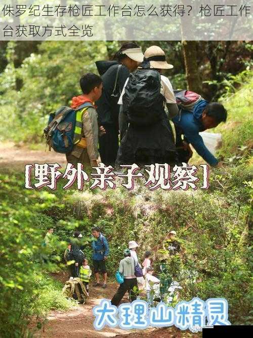 野外探索获取
