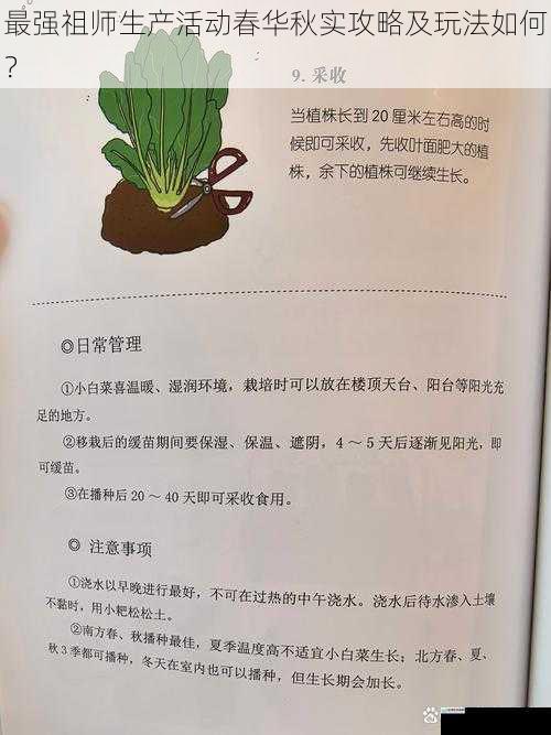 种植技巧篇