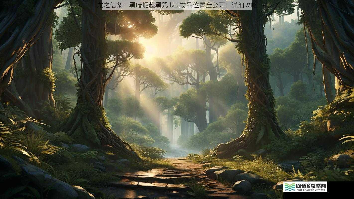 森林深处的隐秘宝藏