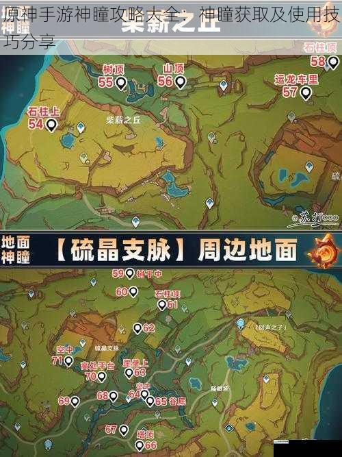 神瞳的分布与种类