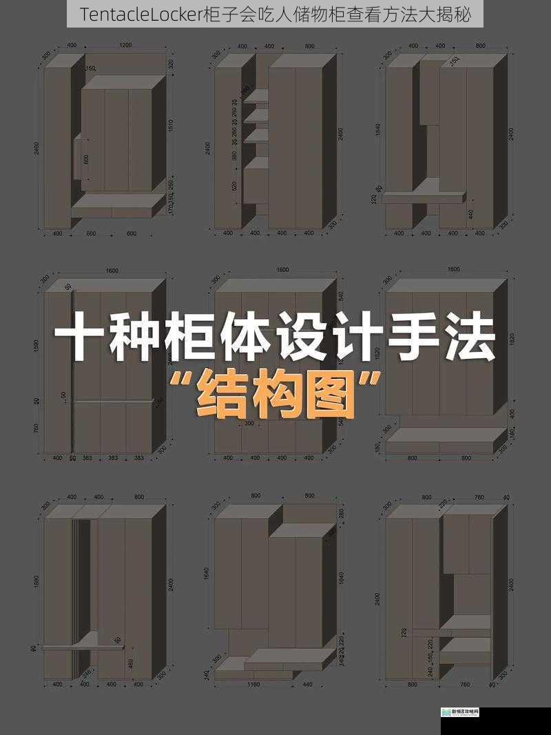 柜子外观与结构揭秘