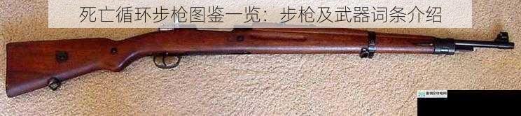 步枪的种类与外观