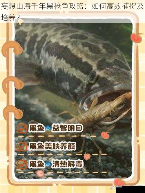 了解千年黑枪鱼的习性