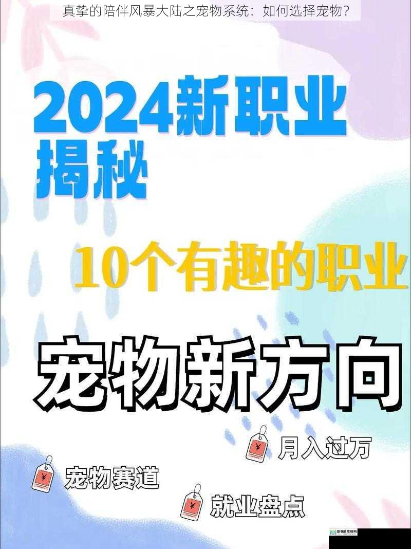 宠物属性与自身职业匹配