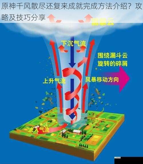 掌握风元素反应