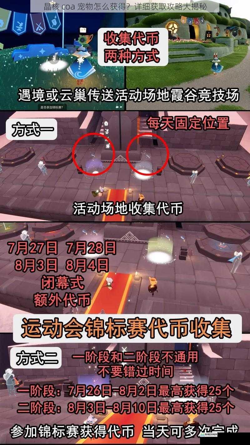 日常任务与活动