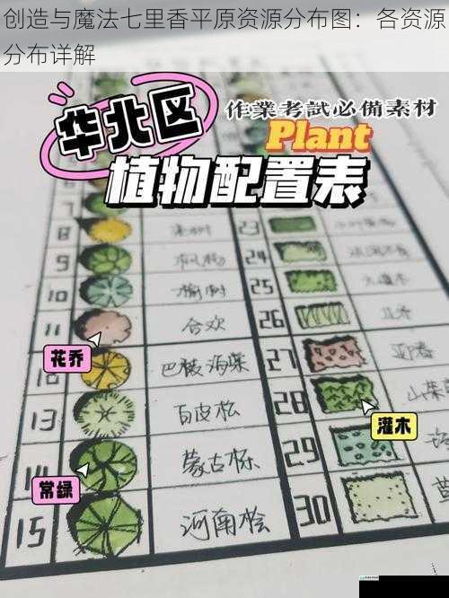 植物资源分布详解