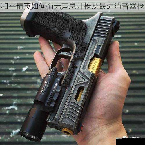 枪械选择与改装