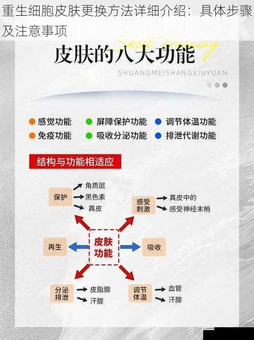 获取皮肤途径