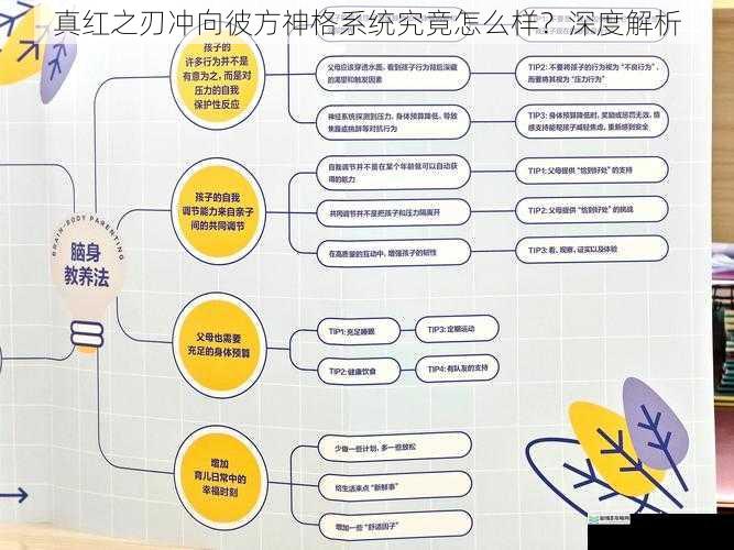 神格获取与培养机制