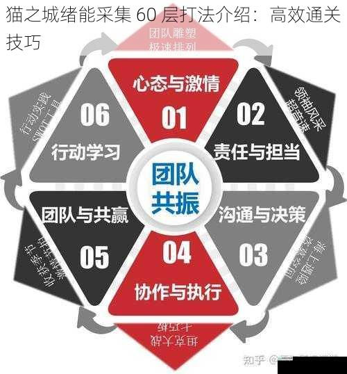 阵容搭配:打造强力团队