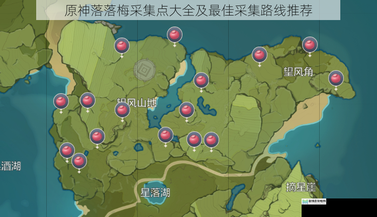 蒙德地区落落梅采集点