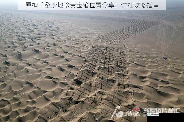 沙漠边缘的隐秘宝藏