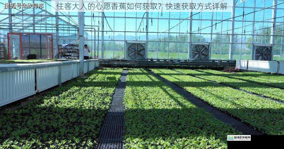 种植环境与条件