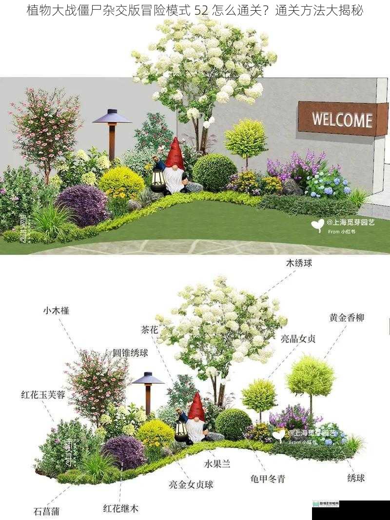 合理搭配植物阵容