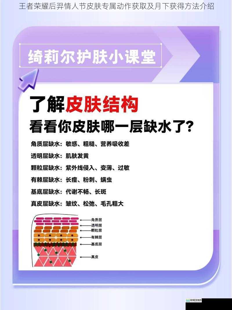皮肤获取途径
