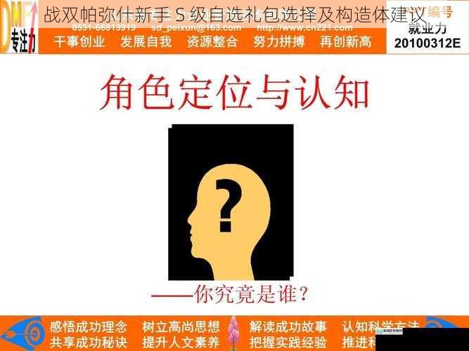 角色定位与适配