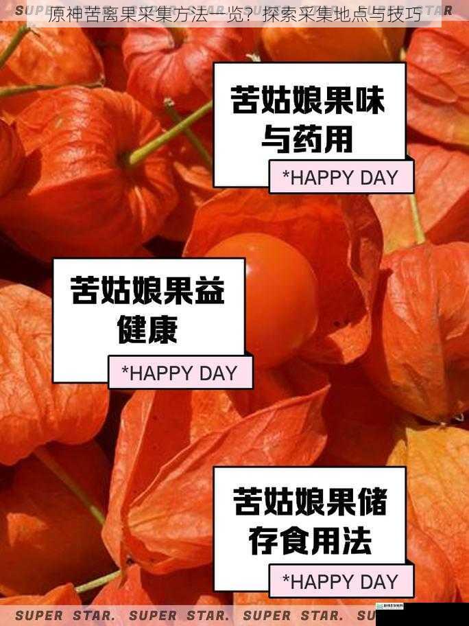 苦离果的基本信息