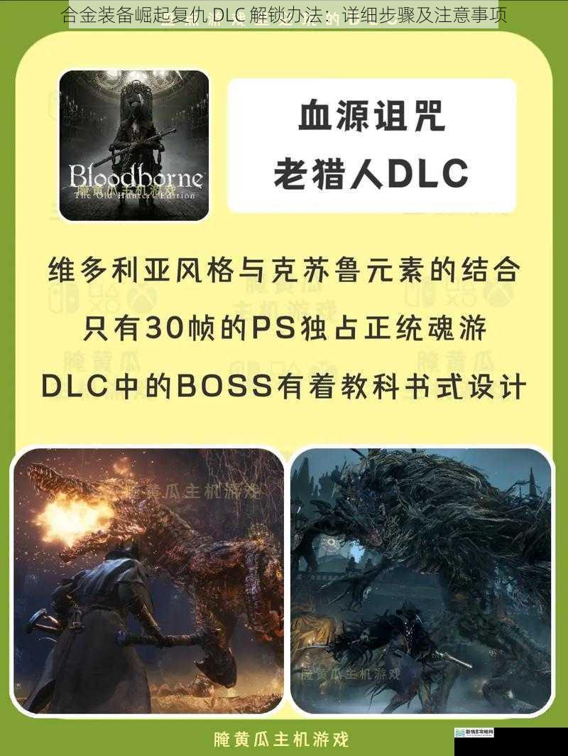 购买正版游戏及相关 DLC