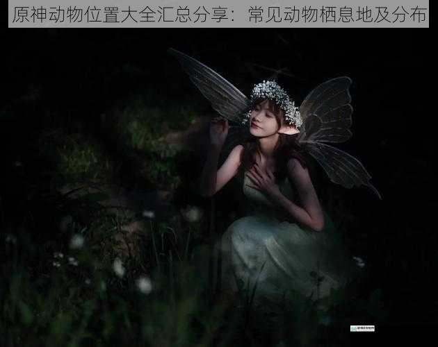 森林中的精灵