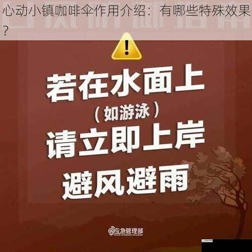 遮阳避雨,守护宁静