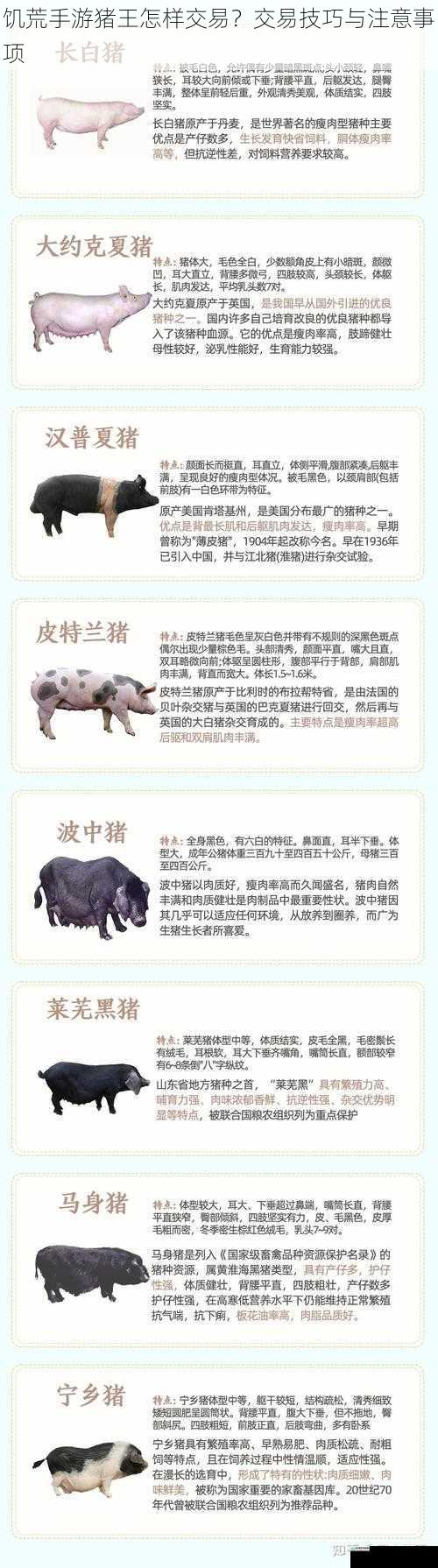了解猪王的喜好