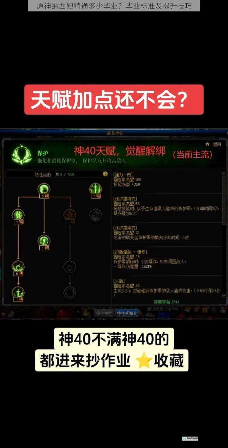 天赋加点与精通收益