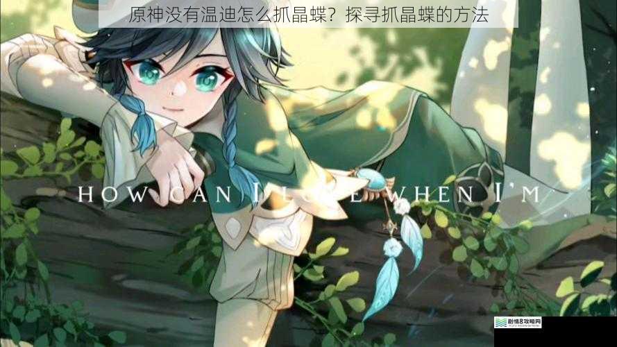 原神没有温迪怎么抓晶蝶?探寻抓晶蝶的方法