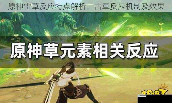 原神雷草反应特点解析:雷草反应机制及效果