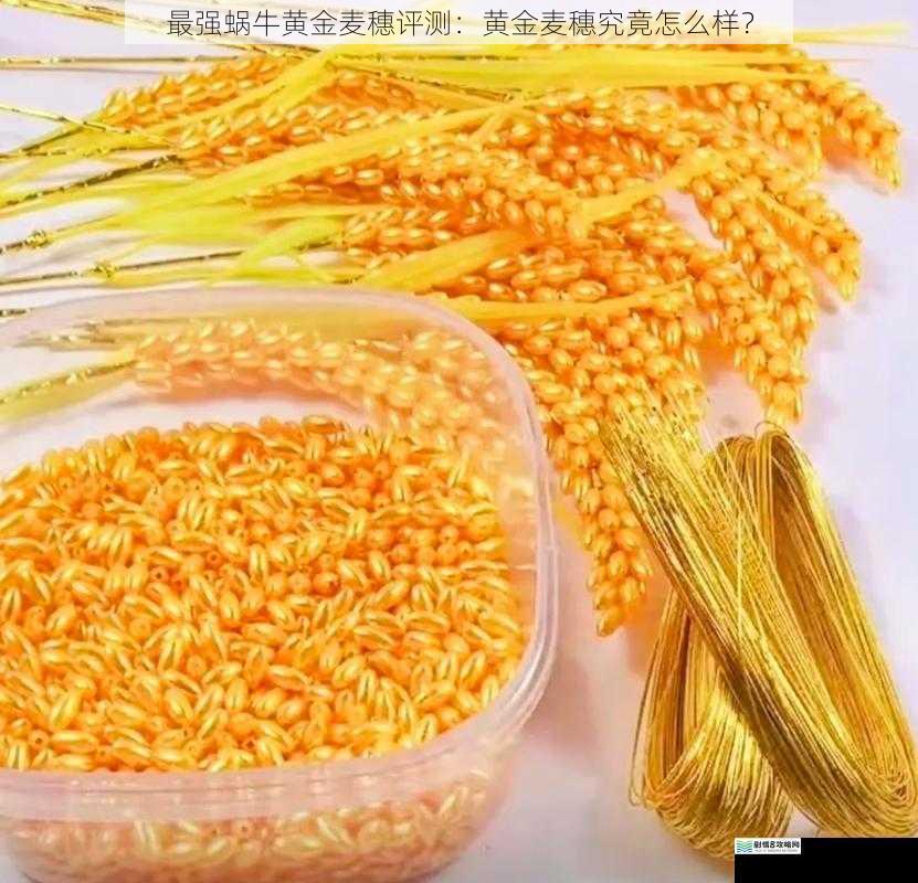 最强蜗牛黄金麦穗评测:黄金麦穗究竟怎么样?