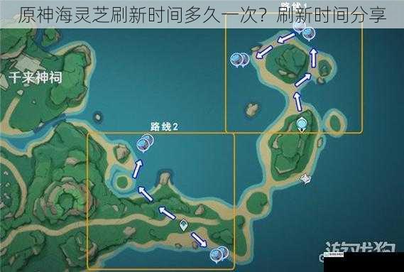 原神海灵芝刷新时间多久一次?刷新时间分享