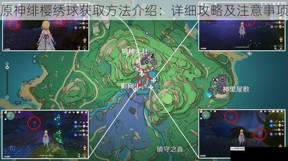 原神绯樱绣球获取方法介绍:详细攻略及注意事项