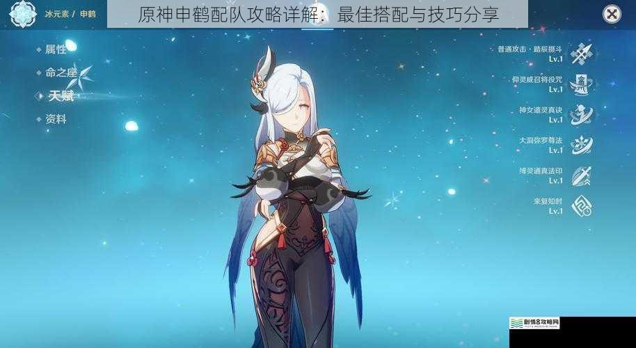 原神申鹤配队攻略详解:最佳搭配与技巧分享